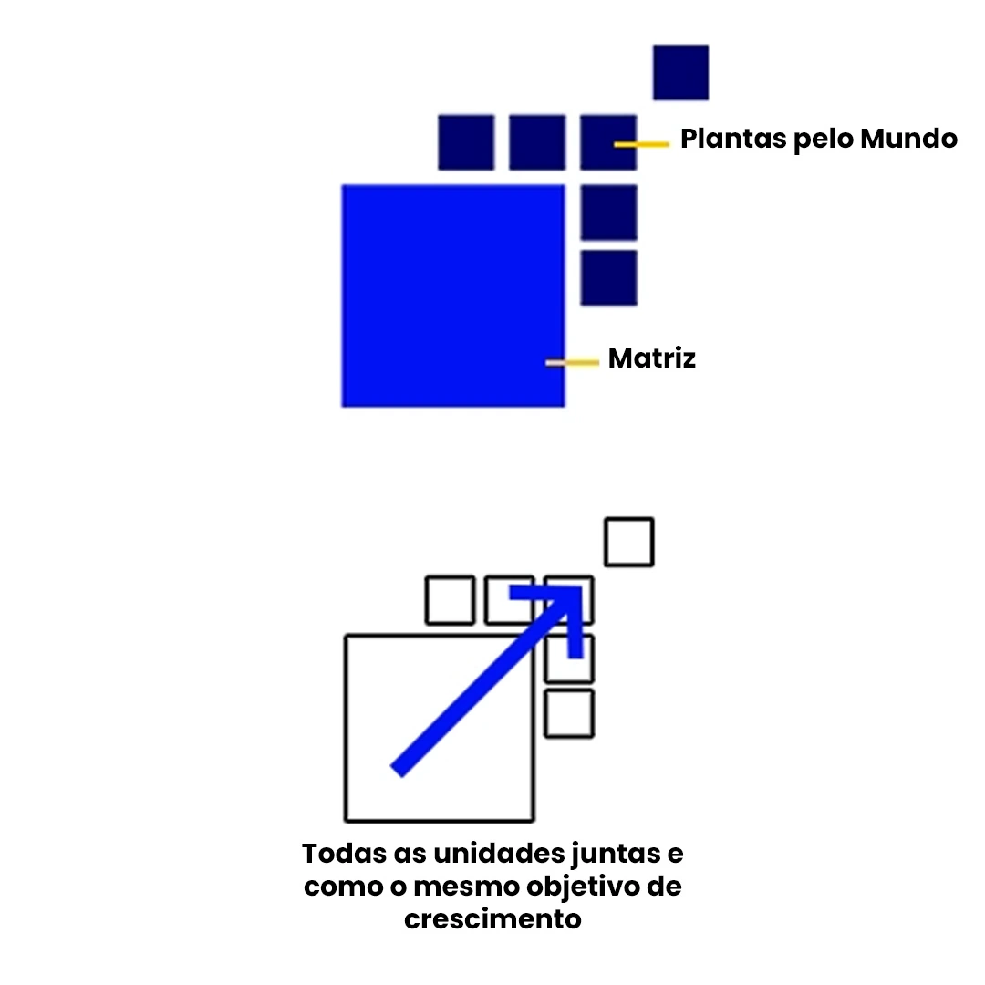 Explicação visual da estrutura global da DIMEX